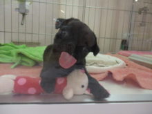 3連休(*ﾟ∀ﾟ*)