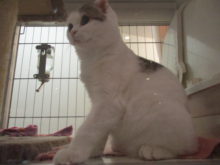 お転婆(*ﾟ∀ﾟ*)