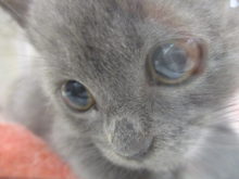 ブリ君(￣▽￣)