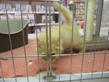 警戒(｀・ω・´)