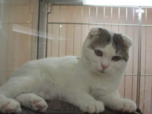 ウトウト( ´ ω ` )