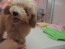 ニコニコ(*´ω｀*)