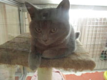 ブリ君？(ﾟ∀ﾟ)