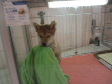 ハイテンション(*ﾟ∀ﾟ*)