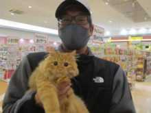 家族が決まりましたヽ(・∀・)