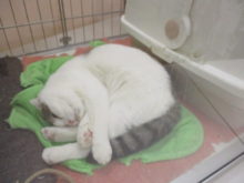 真ん丸(*´ω｀*)