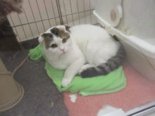 ｡ﾟ+.謹賀新年ﾟ+.ﾟ