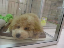 すっきり(*´∀｀)