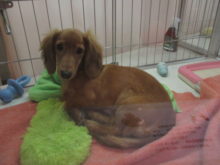 まったり(*´д｀*)