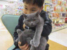 家族が決まりました(*´∀｀*)