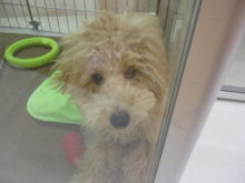 チラッ( ﾟ∀ ﾟ)