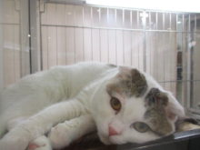 マイペース( ´▽｀)