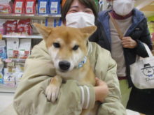 家族が決まりました(*´∀｀*)