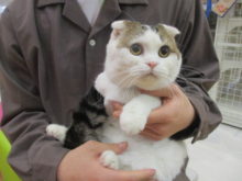 家族が決まりました(*´ω｀*)