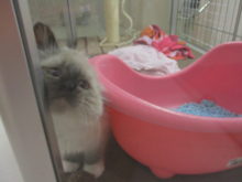 ぐいっ( *｀ω´)