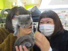 家族が決まりました(*´∀｀*)