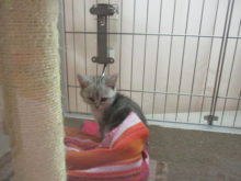 お隣( ´ ▽ ` )ﾉ