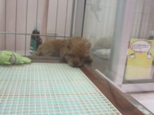 のんびり(･∀･)