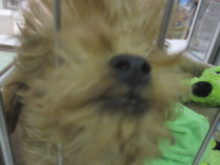 ドアップ(･∀･)