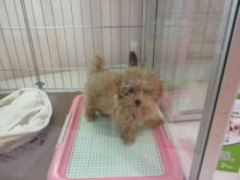 ゴールデンウィーク(^O^)