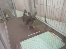 みどりの日(*´∀｀)