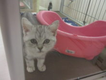 憲法記念日(*^^*)