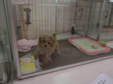 イタズラ？( *｀ω´)