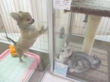 仲良し(*´ω｀*)