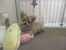 まねっこ？(^O^)