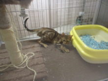 お隣さん(*´∀｀*)