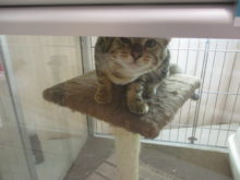 お昼寝？！(´∀｀)