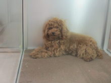 ゴロンッ( ´▽｀)