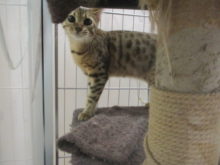 ポチたま(=‘ｘ‘=)