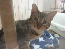 ポチたま(´∀｀*)