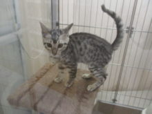 ゴロンッ( ´艸｀)