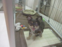 ニコッ(*ﾟ∀ﾟ*)