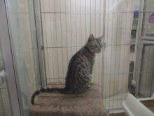 イタズラ(｀・ω・´)