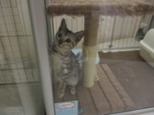 チラッ(=‘ｘ‘=)