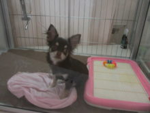 みどりの日(*´∀｀)