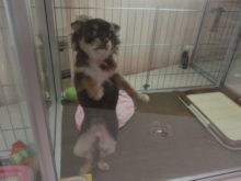 こどもの日(*^ω^*)