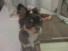 おもちゃ( ´▽｀)