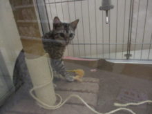 チラッ(=´∀｀)