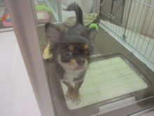 マイペース(*´∀｀)