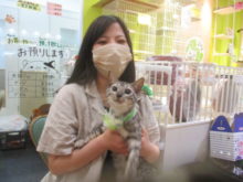 家族が決まりました(*´▽｀*)