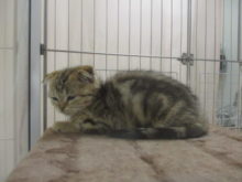 やんちゃ(*´∀｀)