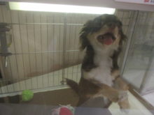 ニコニコ( ´ ▽ ` )