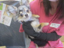 家族が決まりました(*^ω^*)