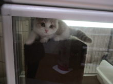 ポチたま(*´∀｀)