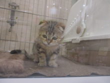 キョロキョロ(・ω・)