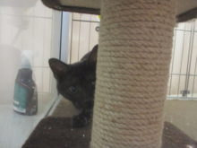 海の日(*´∀｀*)